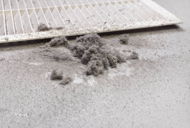Best Dryer Vent Cleaning Services  in De Soto, IL