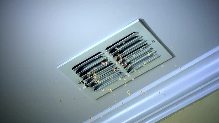 Best Air Vent Cleaning Services  in De Soto, IL