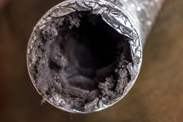 Best Air Duct Cleaning Company Near Me  in De Soto, IL
