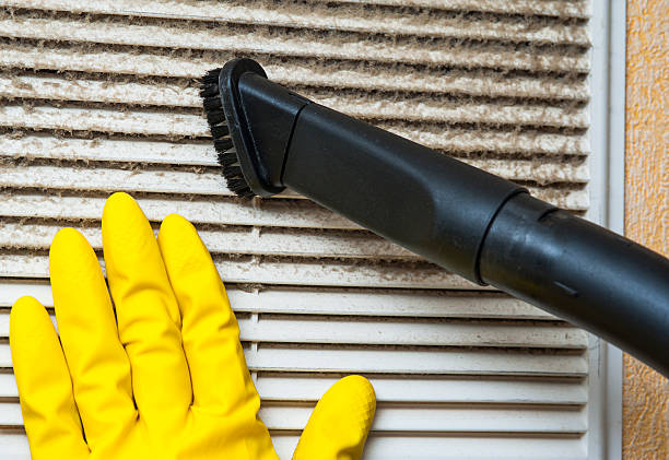 Best HVAC Maintenance and Cleaning  in De Soto, IL